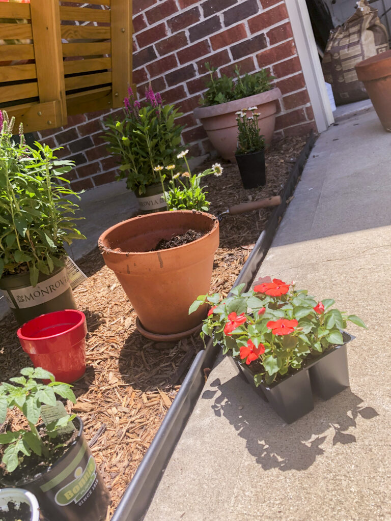 DIY Front Porch Refresh | simple ideas for big impact changes | new plants